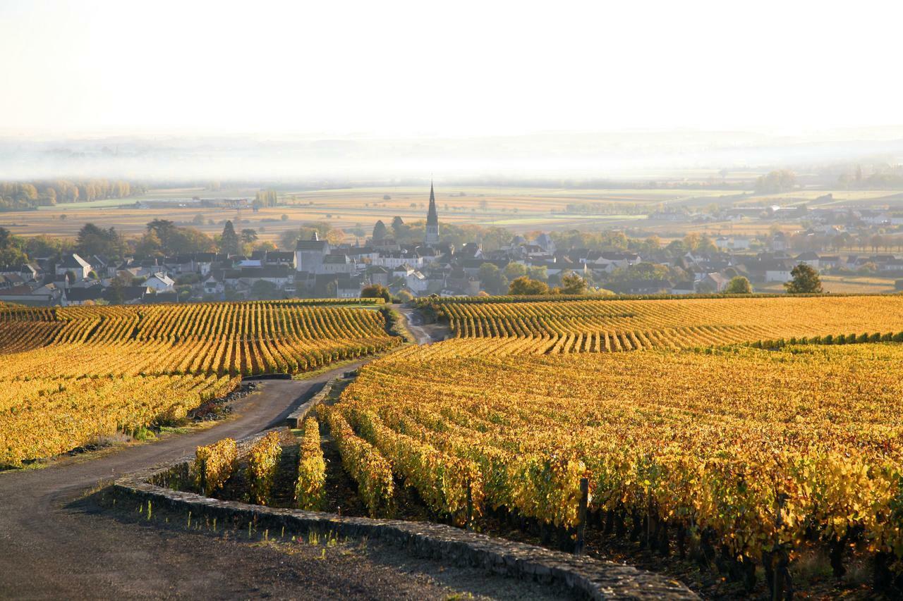 Clos Saint Jacques - Maison D'Hotes Meursault Ngoại thất bức ảnh